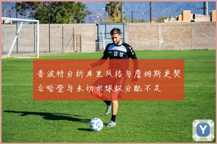 香波特分析库里风格与詹姆斯更契合哈登与米切尔球权分配不足
