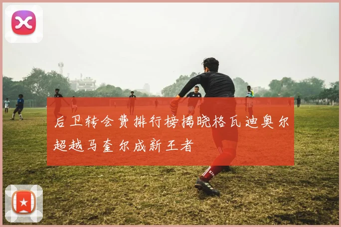 后卫转会费排行榜揭晓格瓦迪奥尔超越马奎尔成新王者