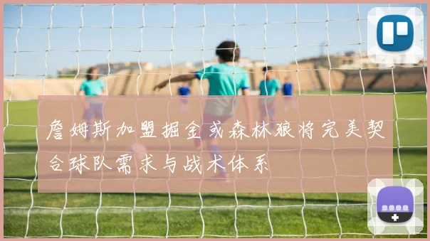 詹姆斯加盟掘金或森林狼将完美契合球队需求与战术体系